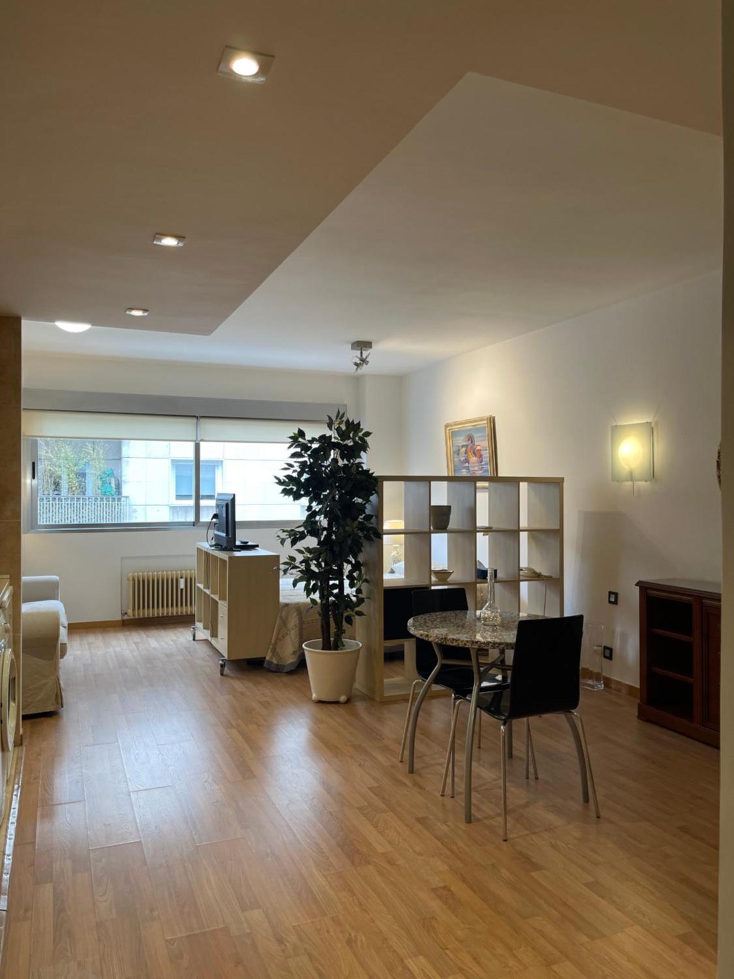 Apartamento Bernabeu Loft Moderno