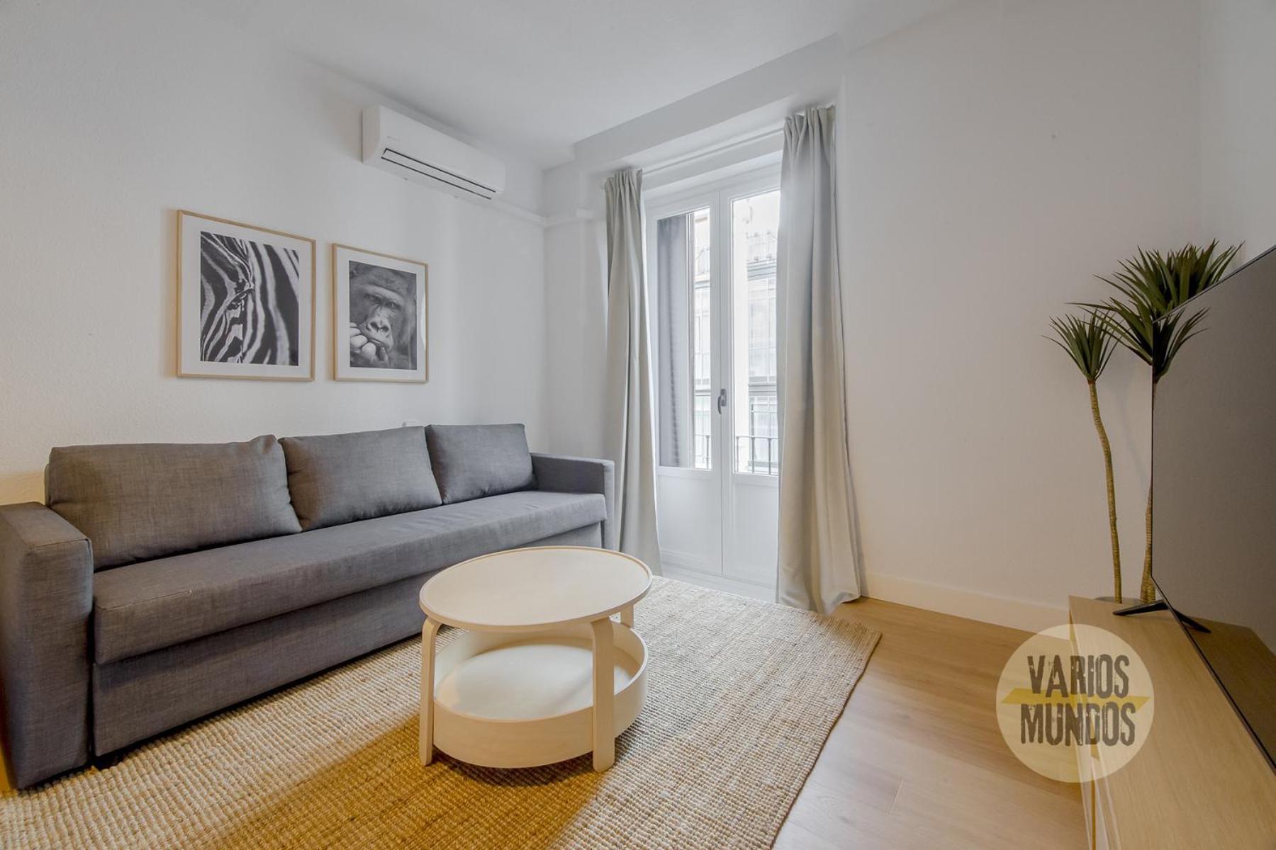 Comodo Y Centrico Loft En Calle Carretas - Centro * Madrid