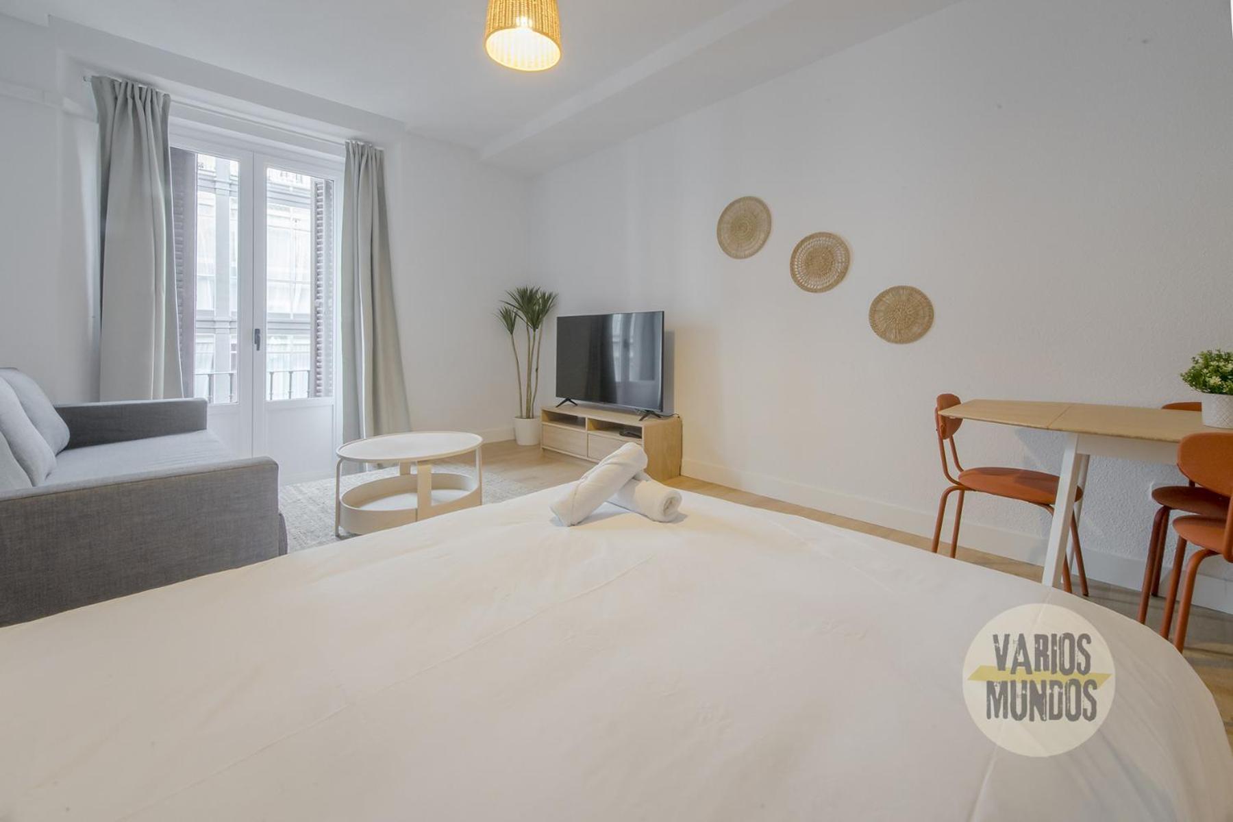 Comodo Y Centrico Loft En Calle Carretas - Centro *