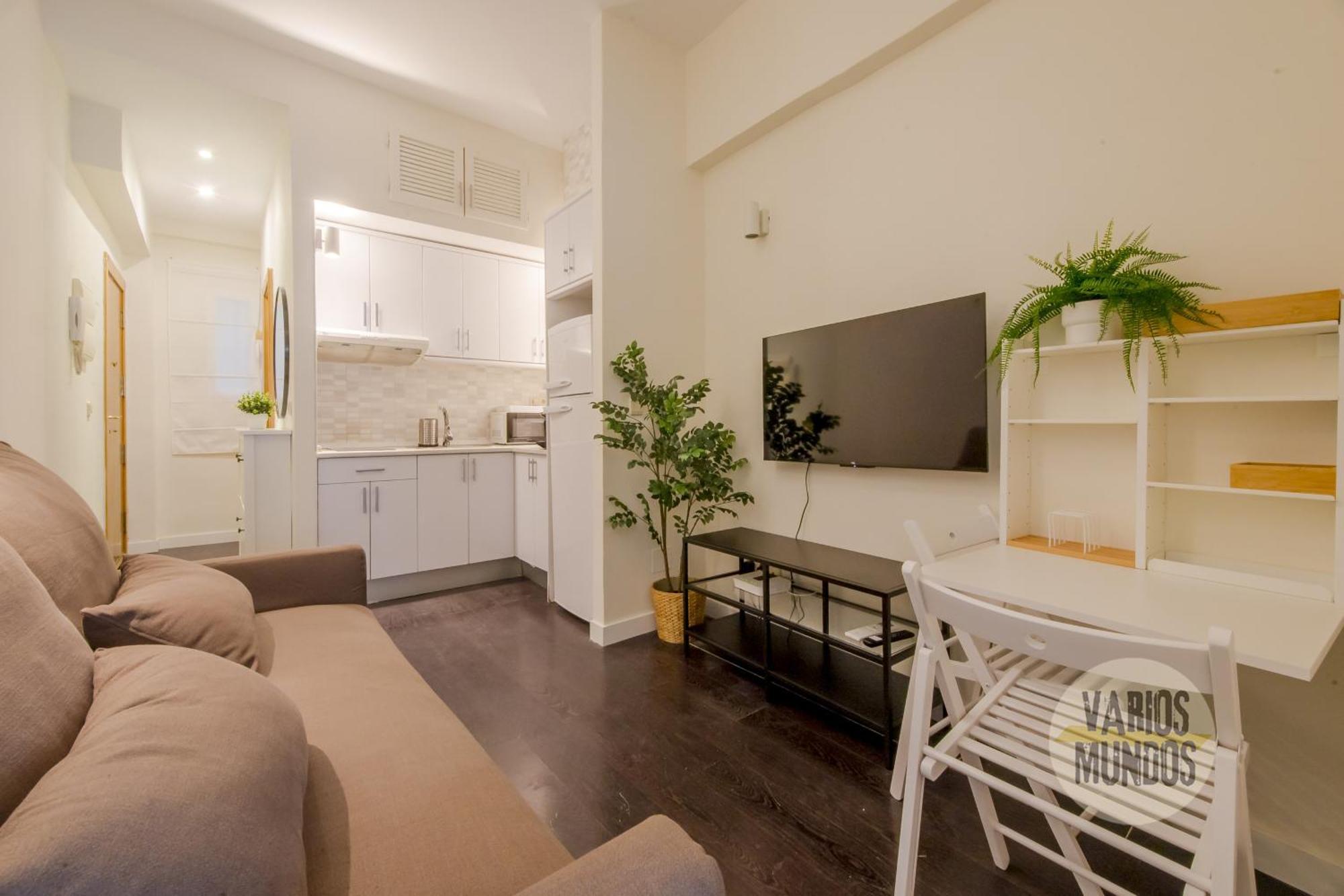 Apartment Tiny 3pax En La Plaza De Chueca