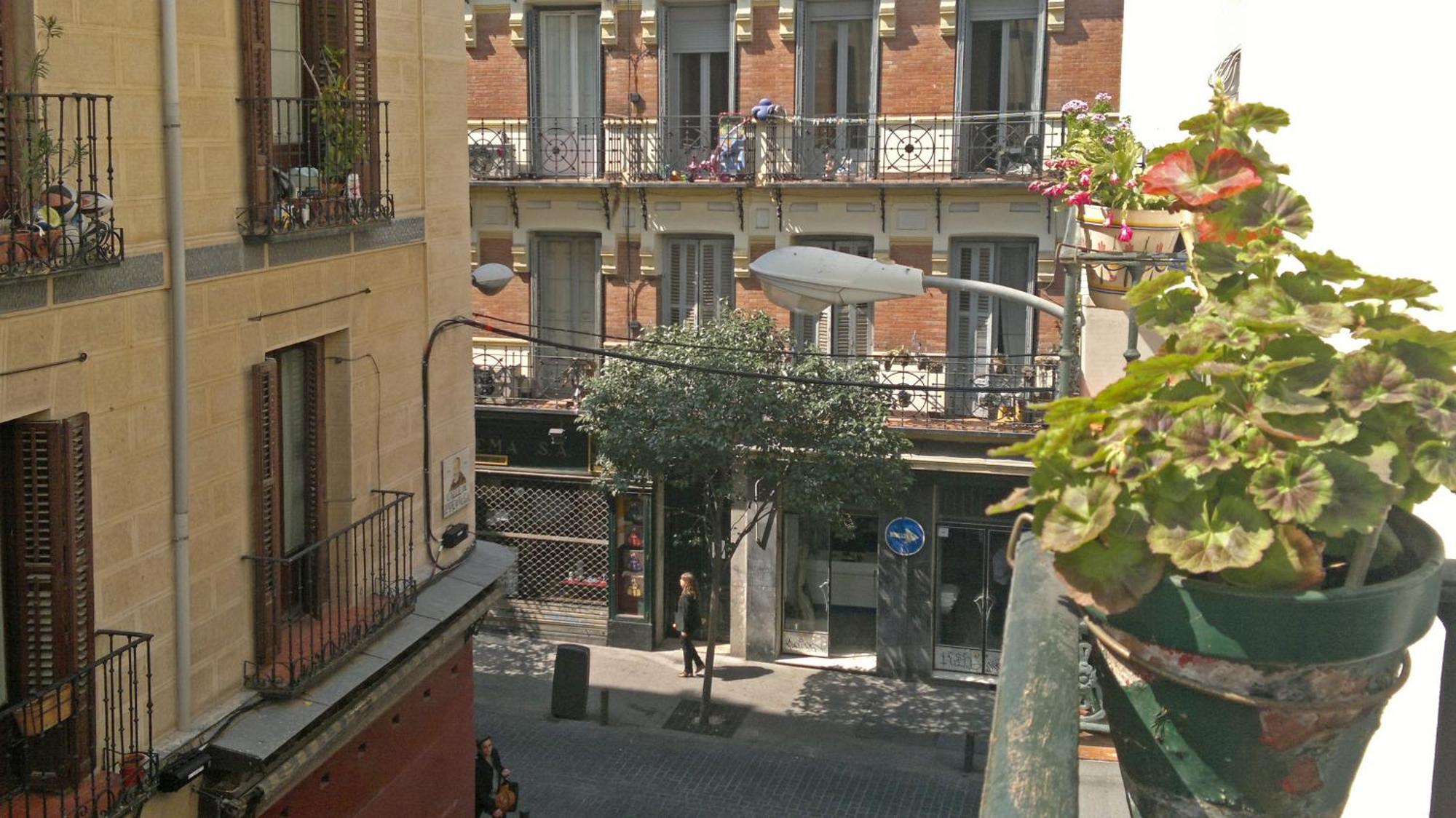 Casa de hóspedes San Antonio Madri