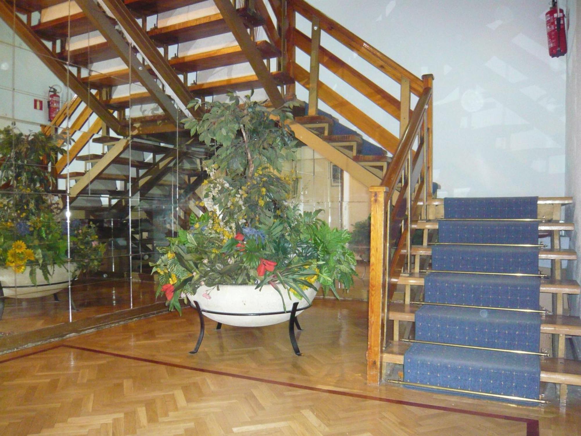 Guest house Triana