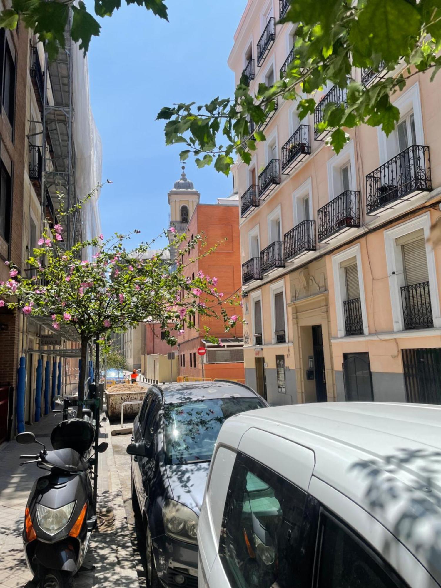 Apartamento San Buenaventura Vistillas Apartamento Para Dos Madrid