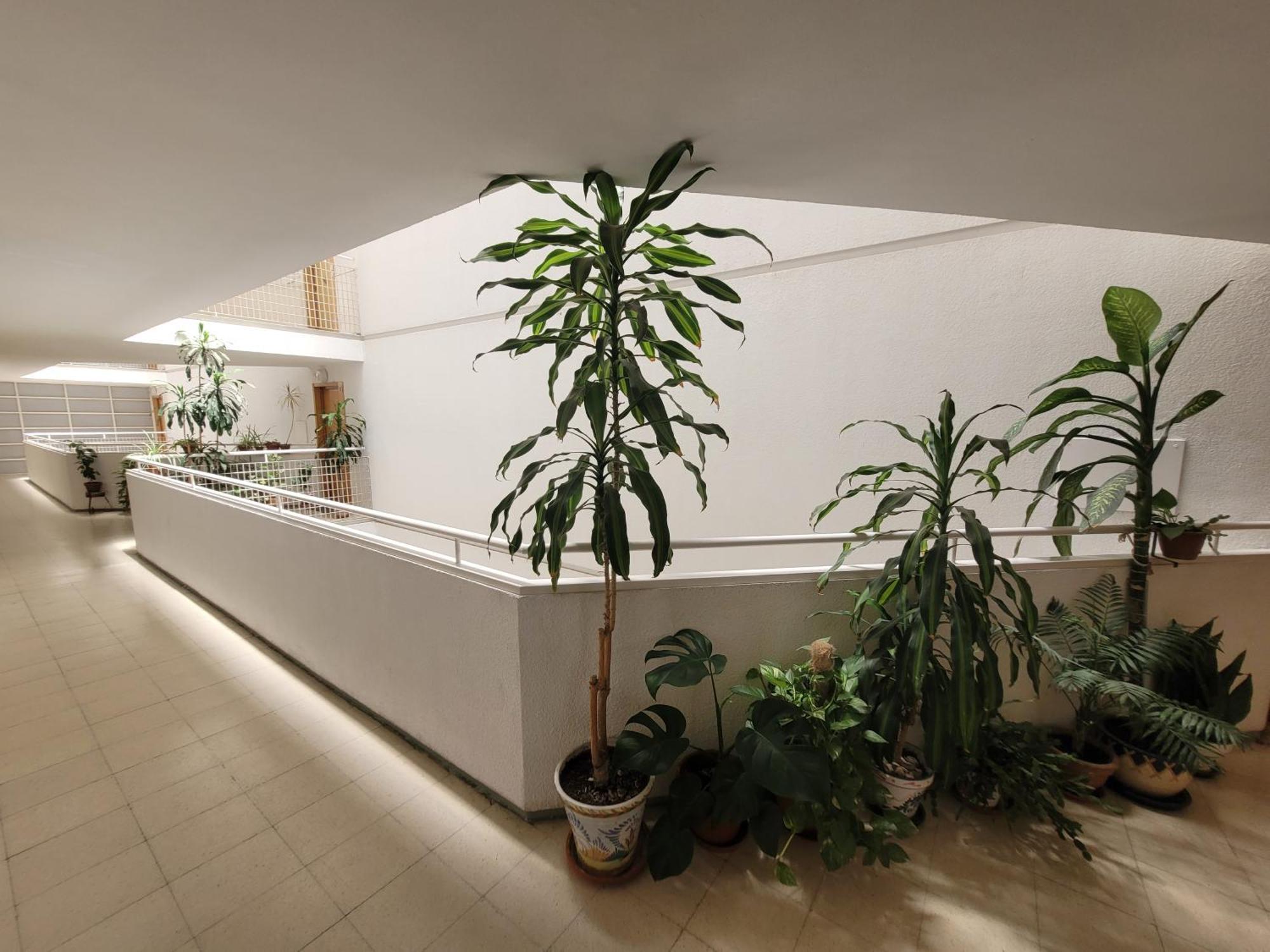 Couette-café Entero En Madrid, Con Acceso Privado *