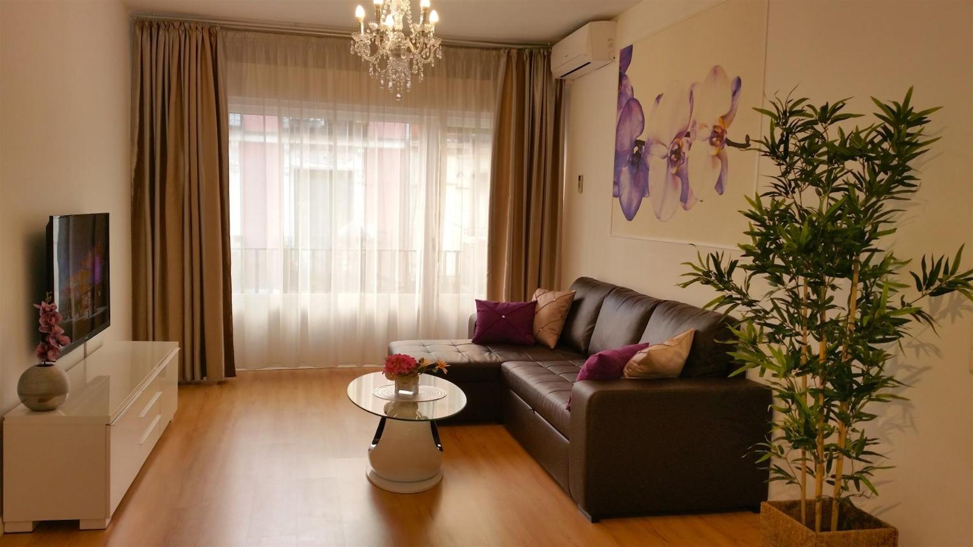 Apartamento Palacio *