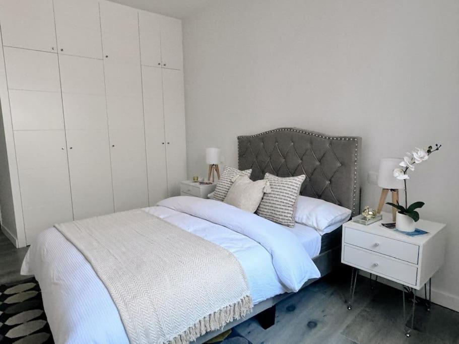 Appartement Encantador En La Latina Madrid