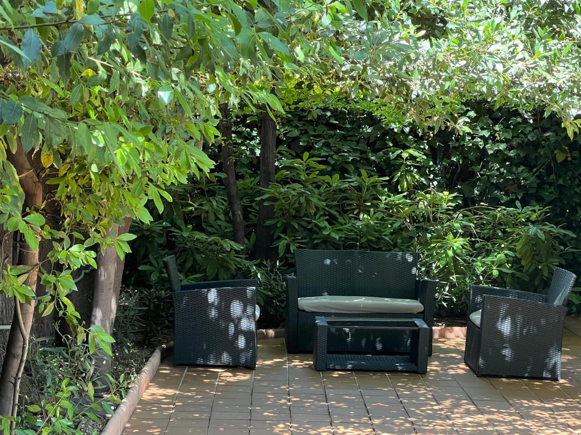 The Garden