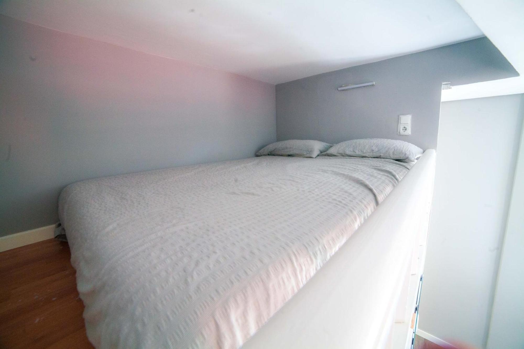 Apartamento Plaza Mayor-tintoreros *