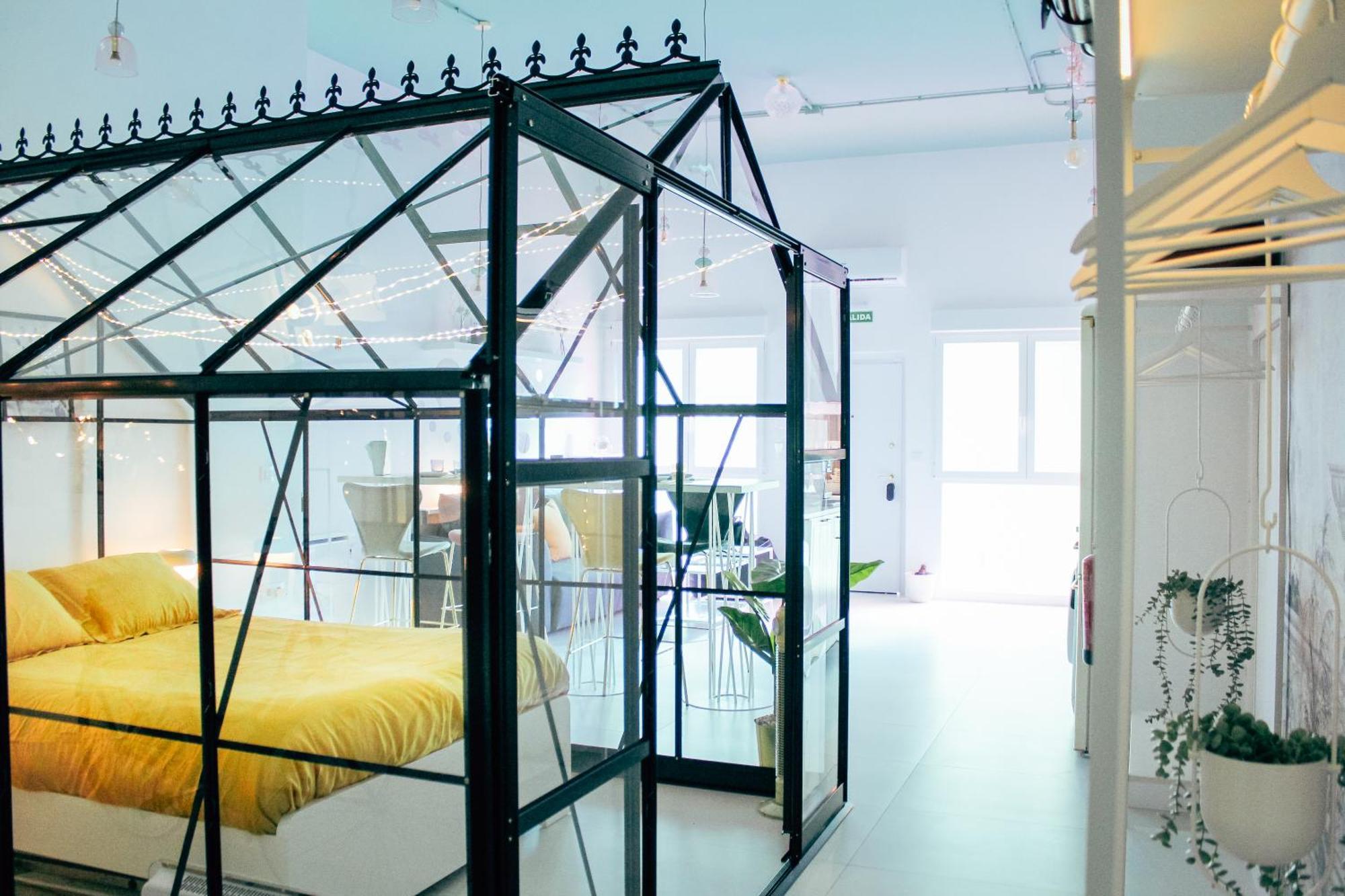 The Greenhouse Apartment