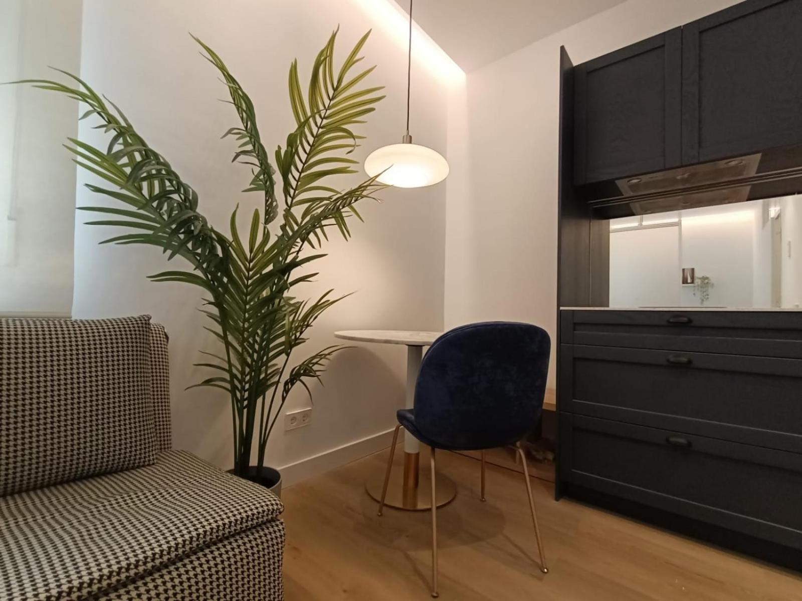 Apartment Acogedor Estudio En Chamberi *