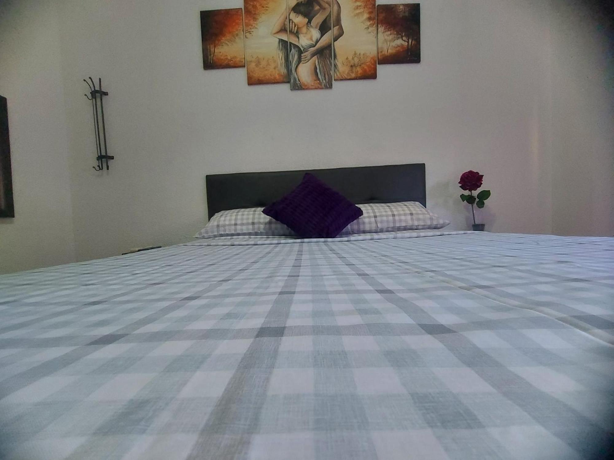 Viive Lavida * Madrid