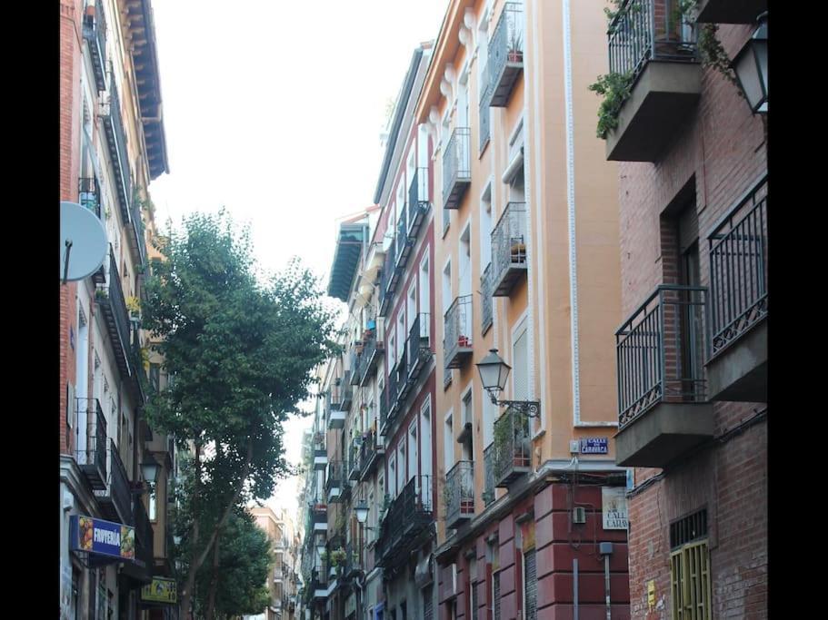Apartment Modern Apt 1 Bedroom In Lavapies Madrid