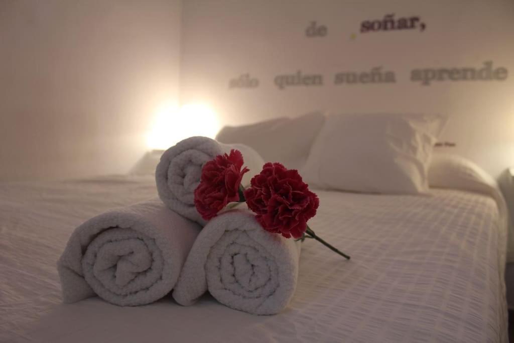 Modern Apt 1 Bedroom In Lavapies * Madrid