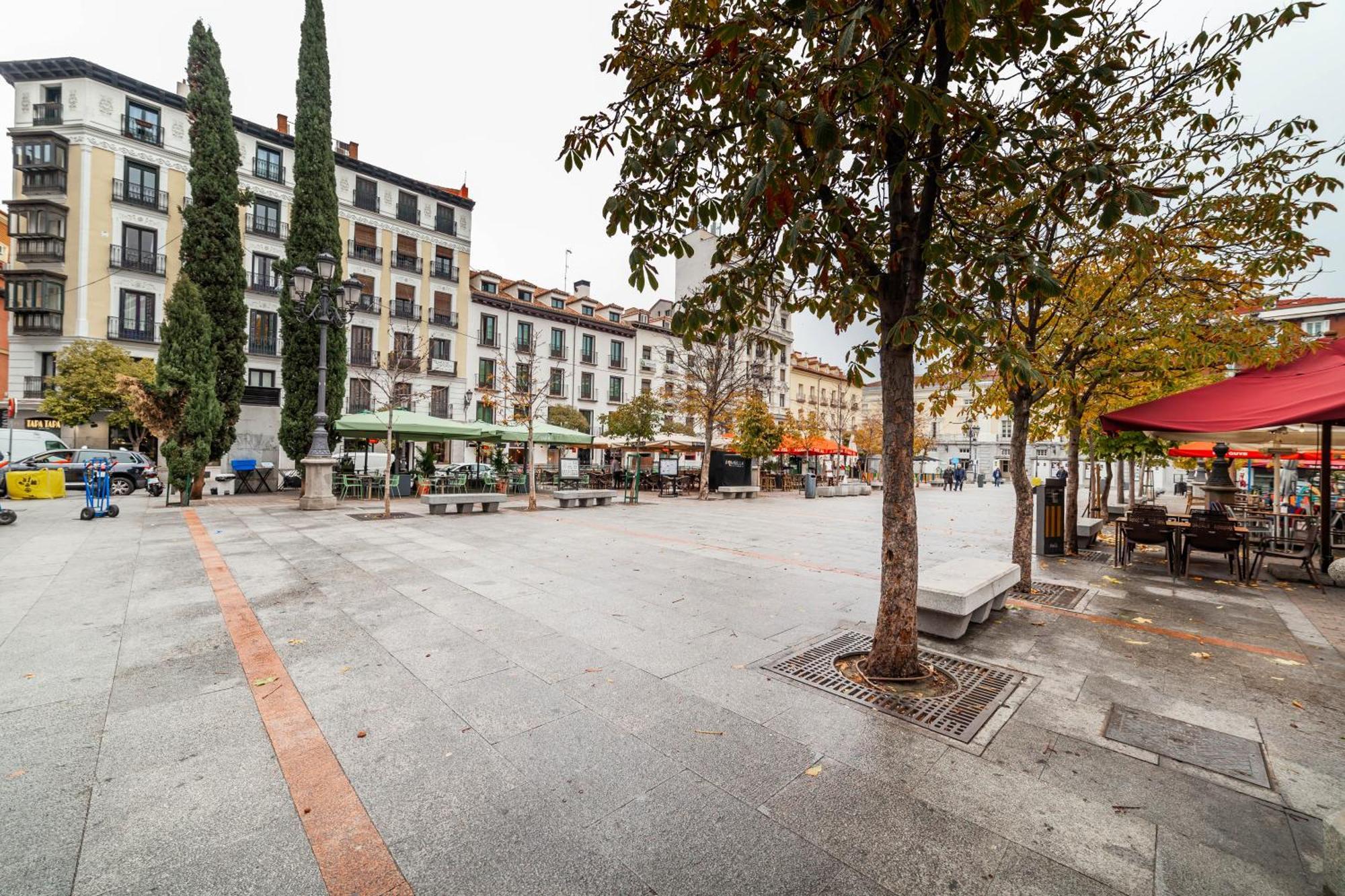 Spacious 3 Bedroom In Centro Madrid