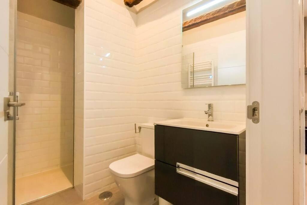Acogedora Vivienda En Centro Madrid