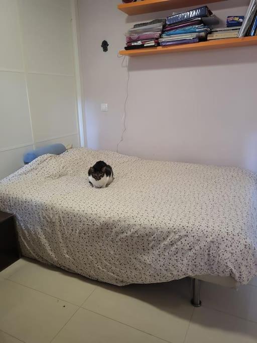 Apartamento Precioso Estudio En Chamberi Madri