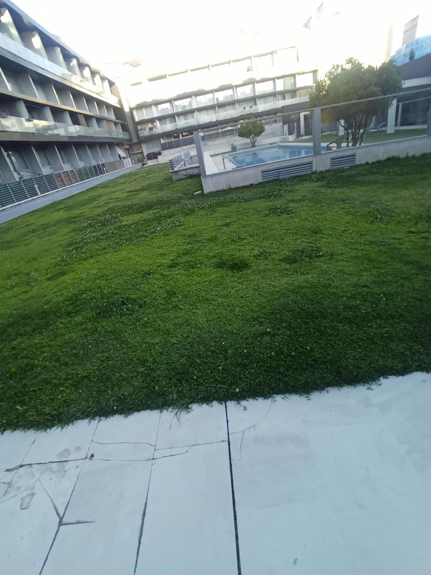 Apartamento El Rincon De La Gavia *
