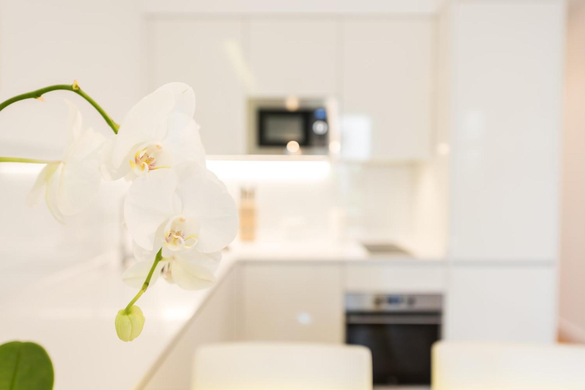 Malasana Plaza Appartement Madrid