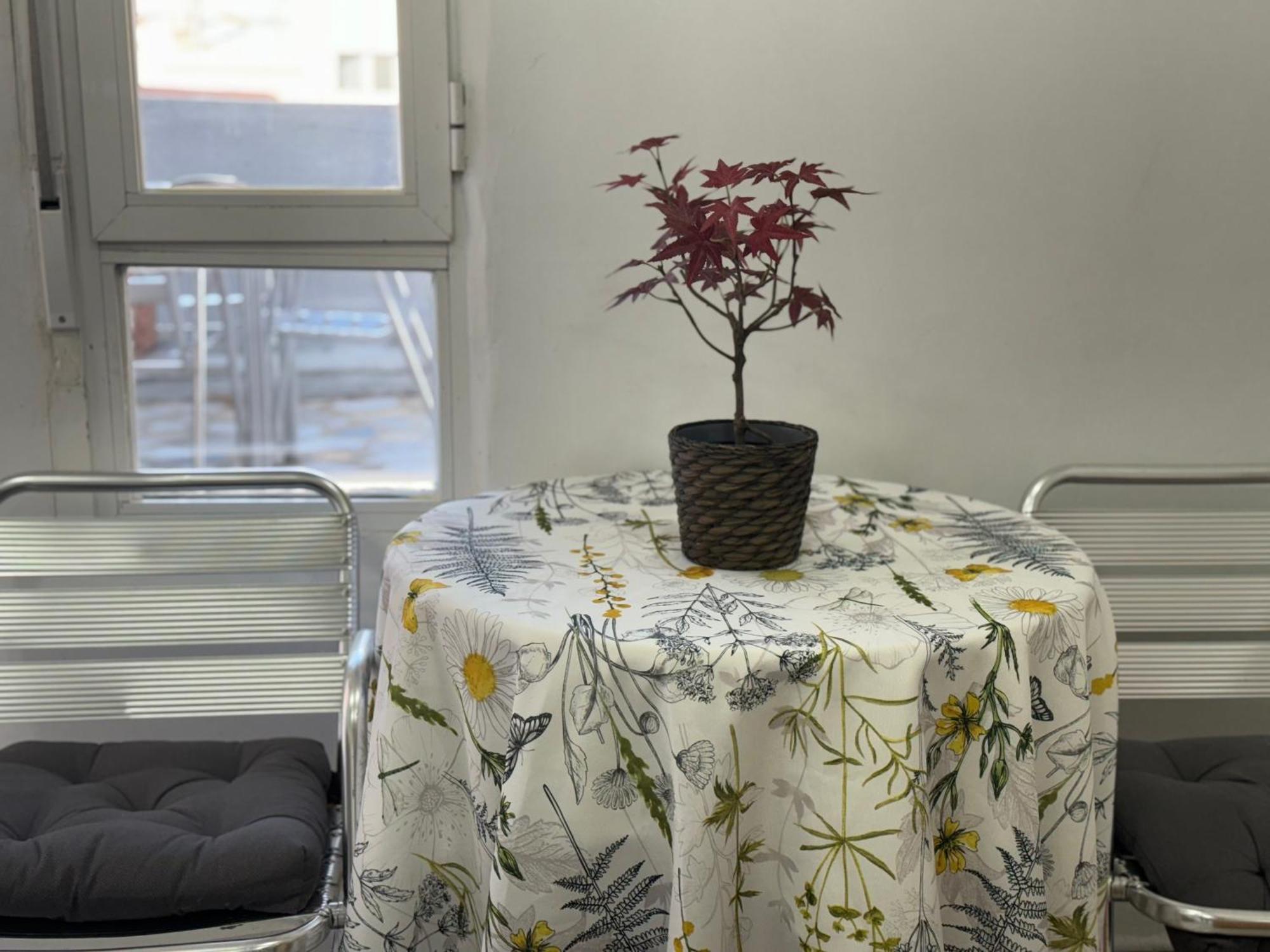 Apartamento Con Terraza Cerca Al Aeropuerto Appartamento