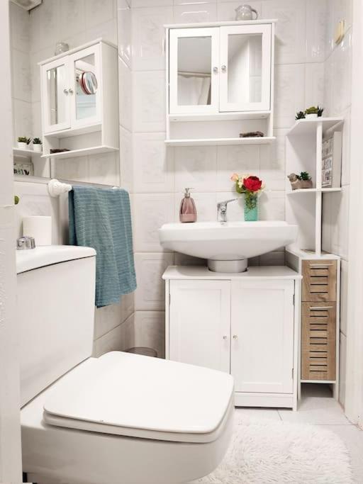 Apartamento Bonito Y Acogedor Estudio En Zona Cultural Madri