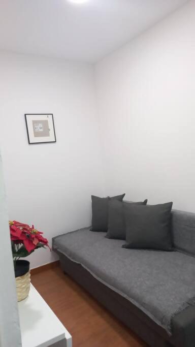 Piso 1hab Nueva Numancia Apartamento *