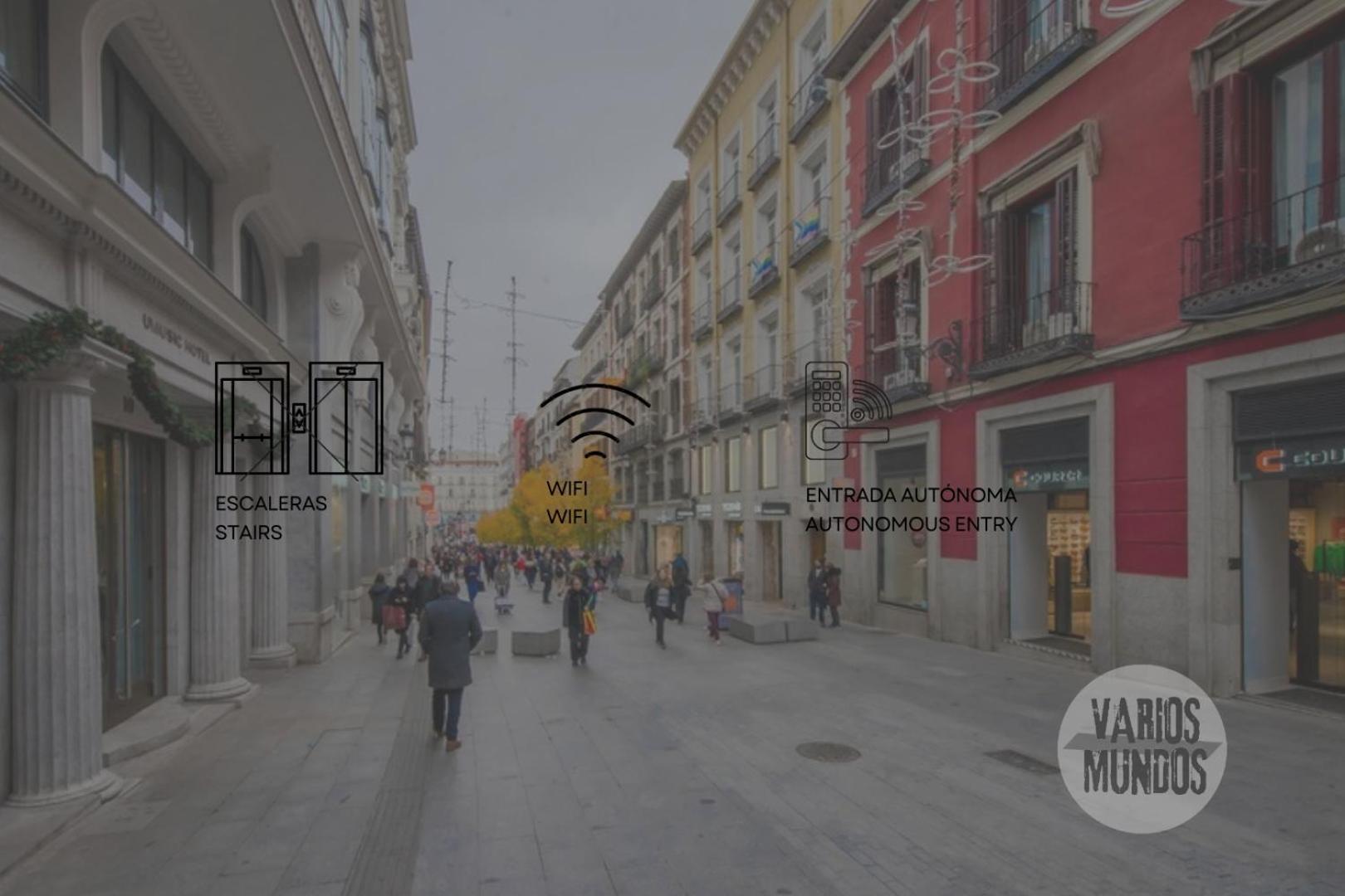 Fashion Design Loft En Calle Carretas-sol 4pax Apartment Madrid
