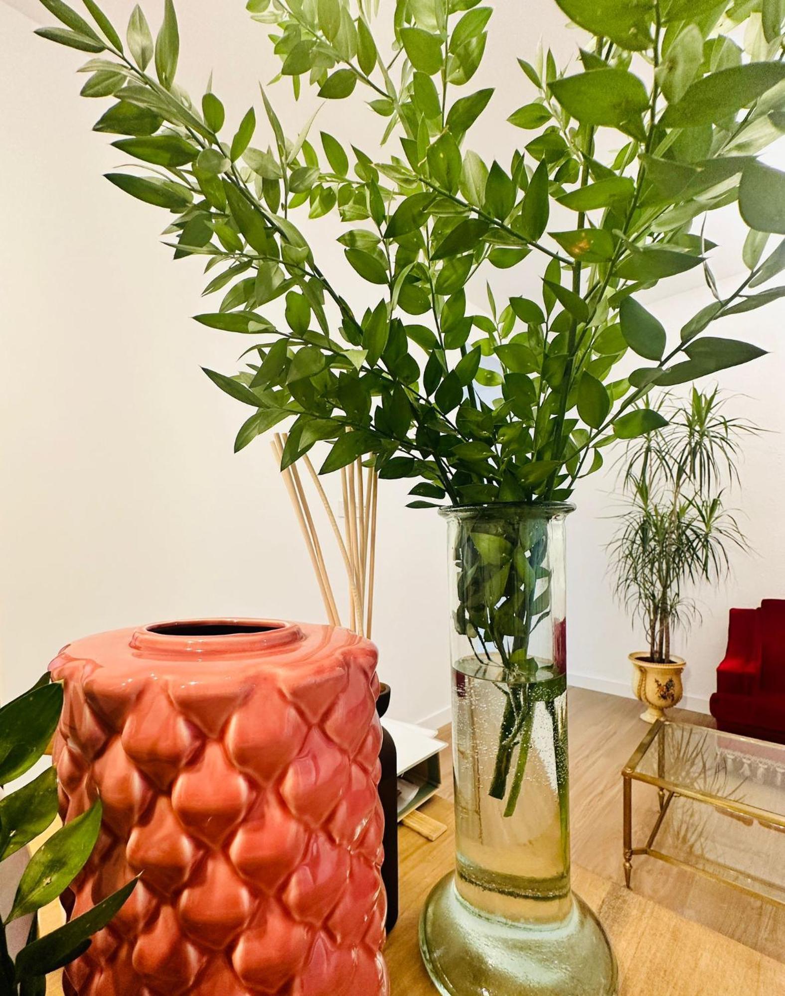 Autentic Boutique Moncloa Madri