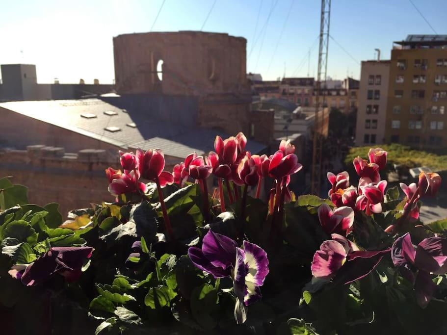 A Garden In The Clouds In The Center Of Town Apartment *