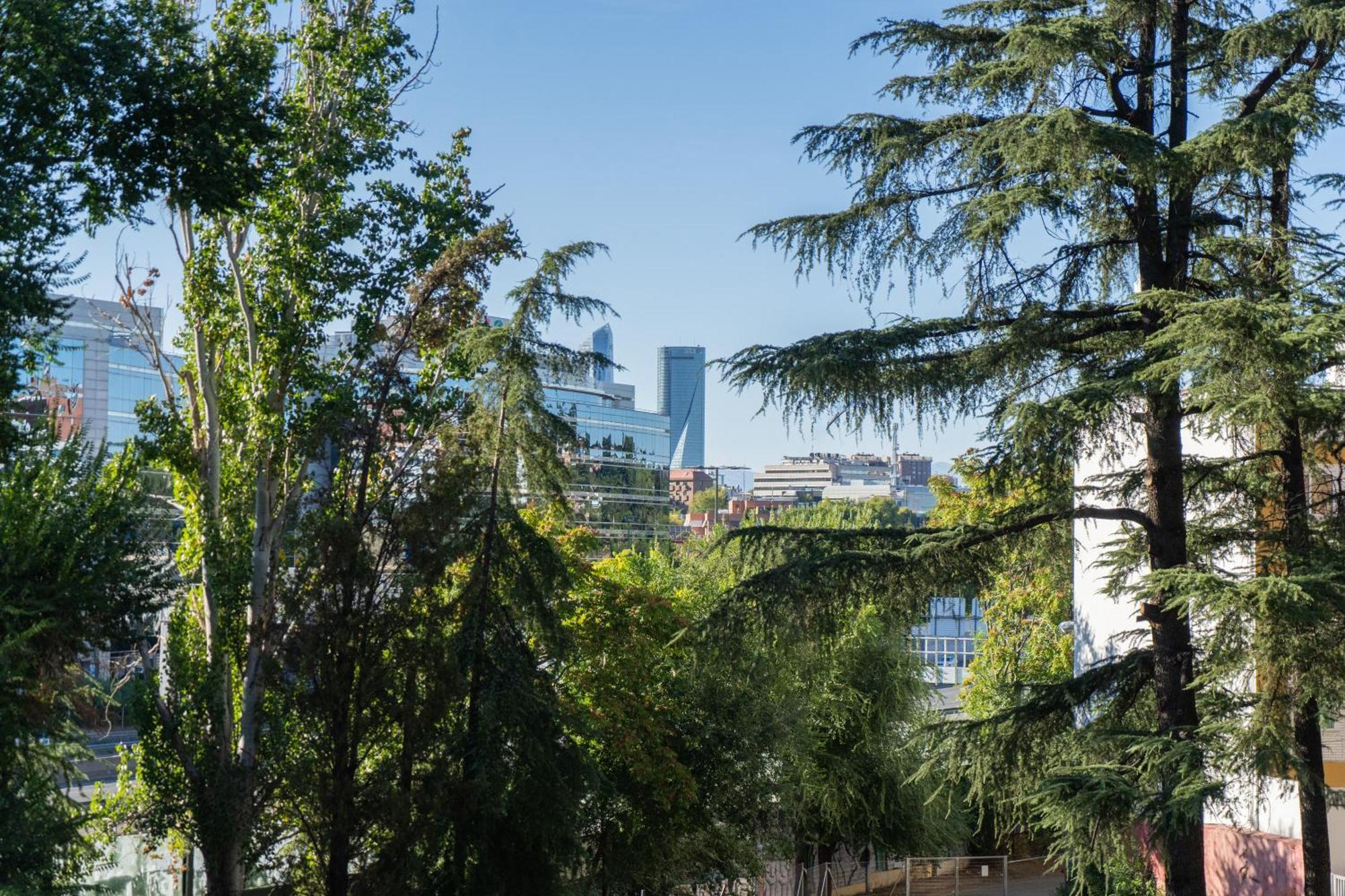 Apartment Encantador Estudio Chamartin *