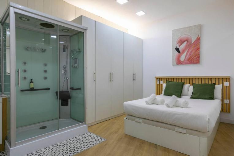 Charming Vistillas - Apartamento Madrid