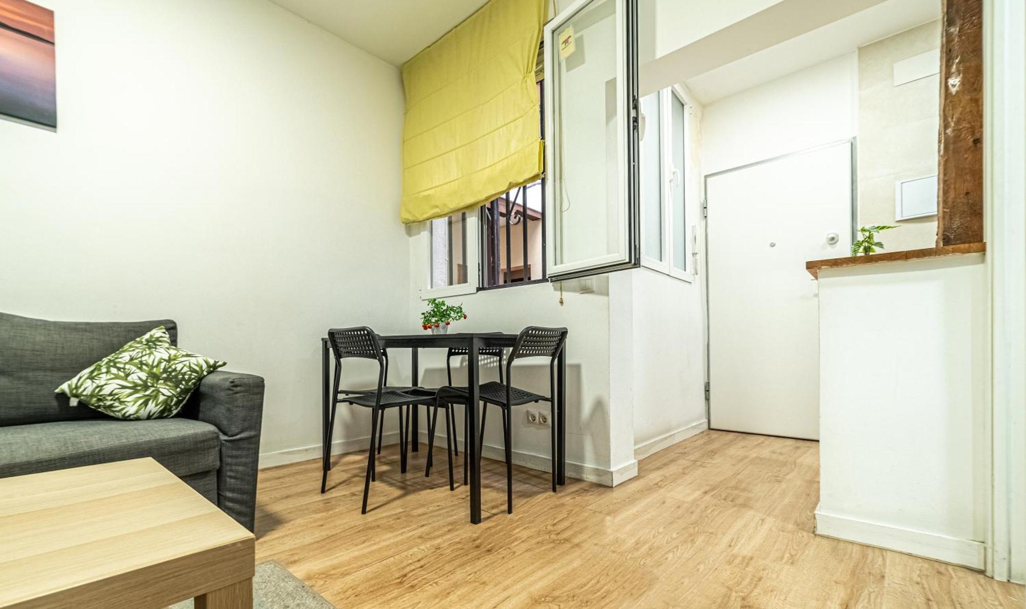 New Flat , Modern , Wifi, 10min Sol, 5 Reina Sofia Apartamento