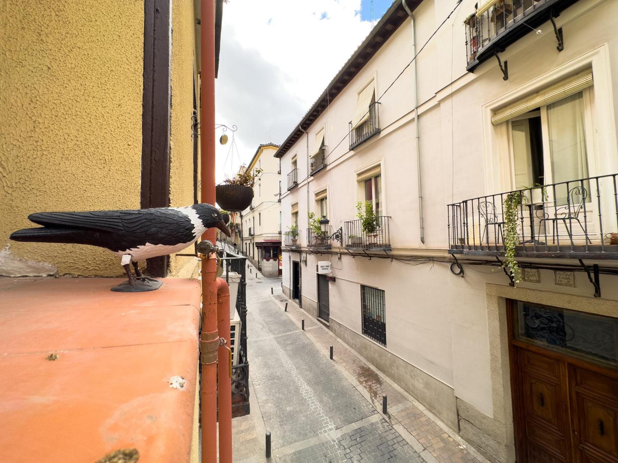 Appartement Estudio Barrio De Letras