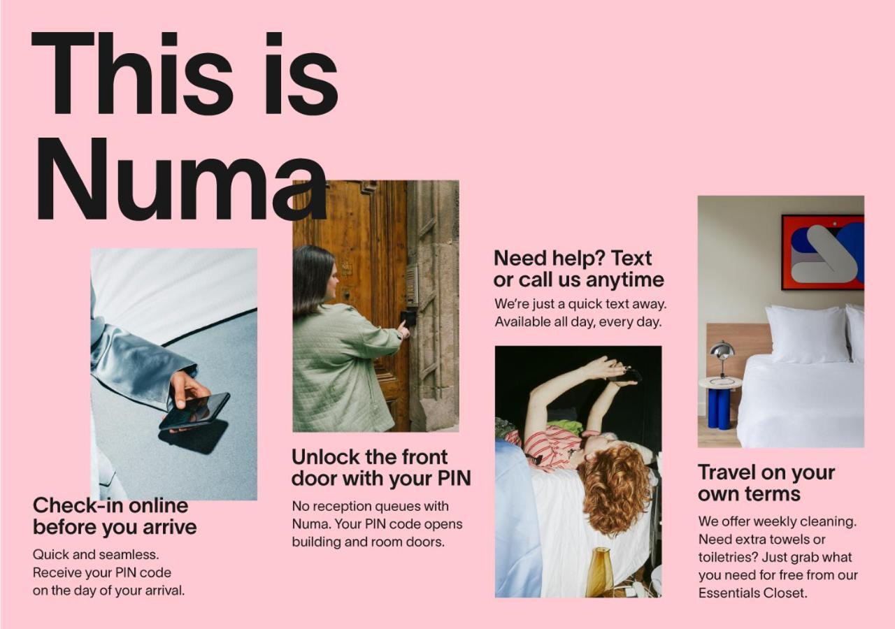 Numa Goya Madri