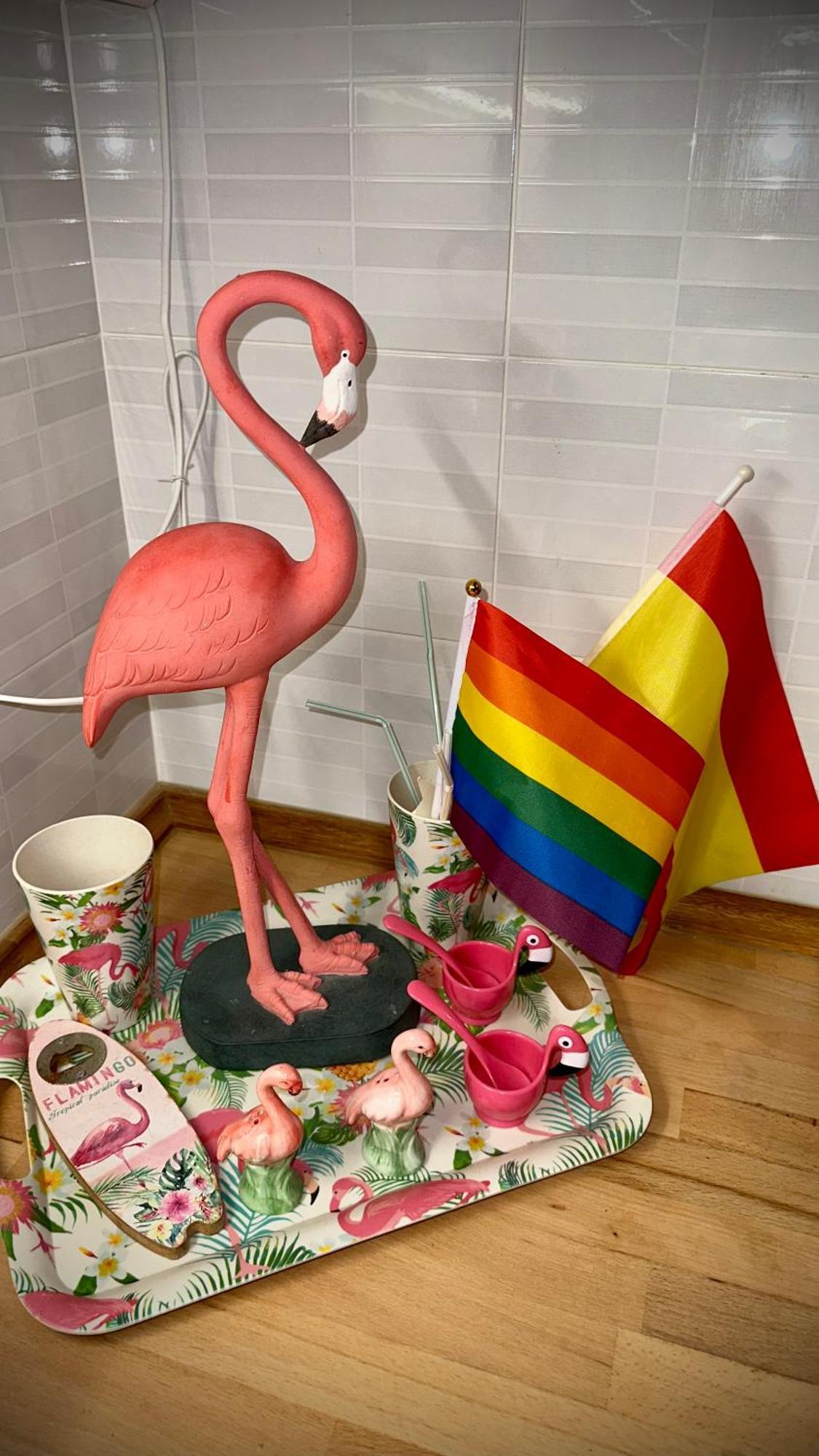 Flamencos, Malasana Loft 45mq Appartement