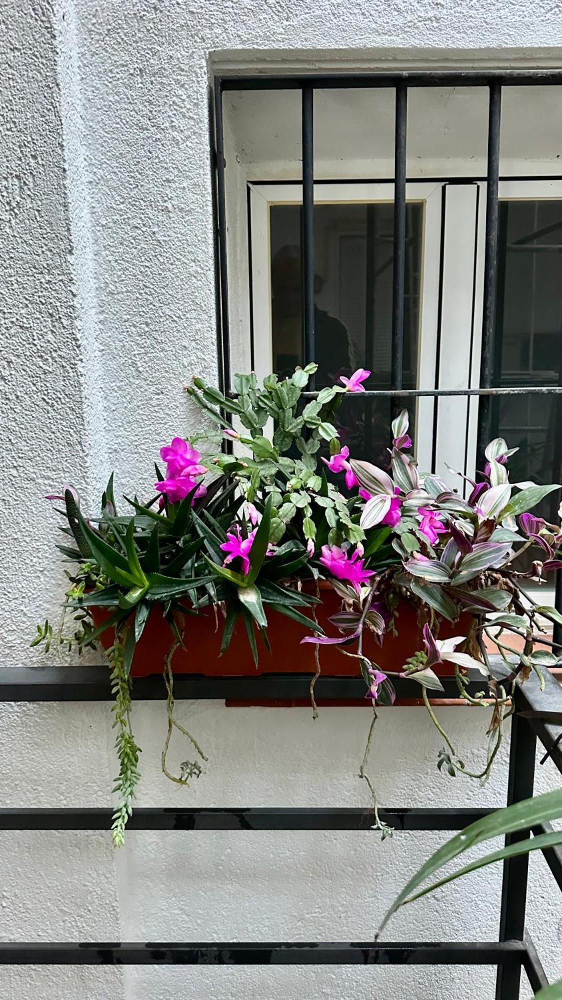 Appartement Flamencos, Malasana Loft 45mq