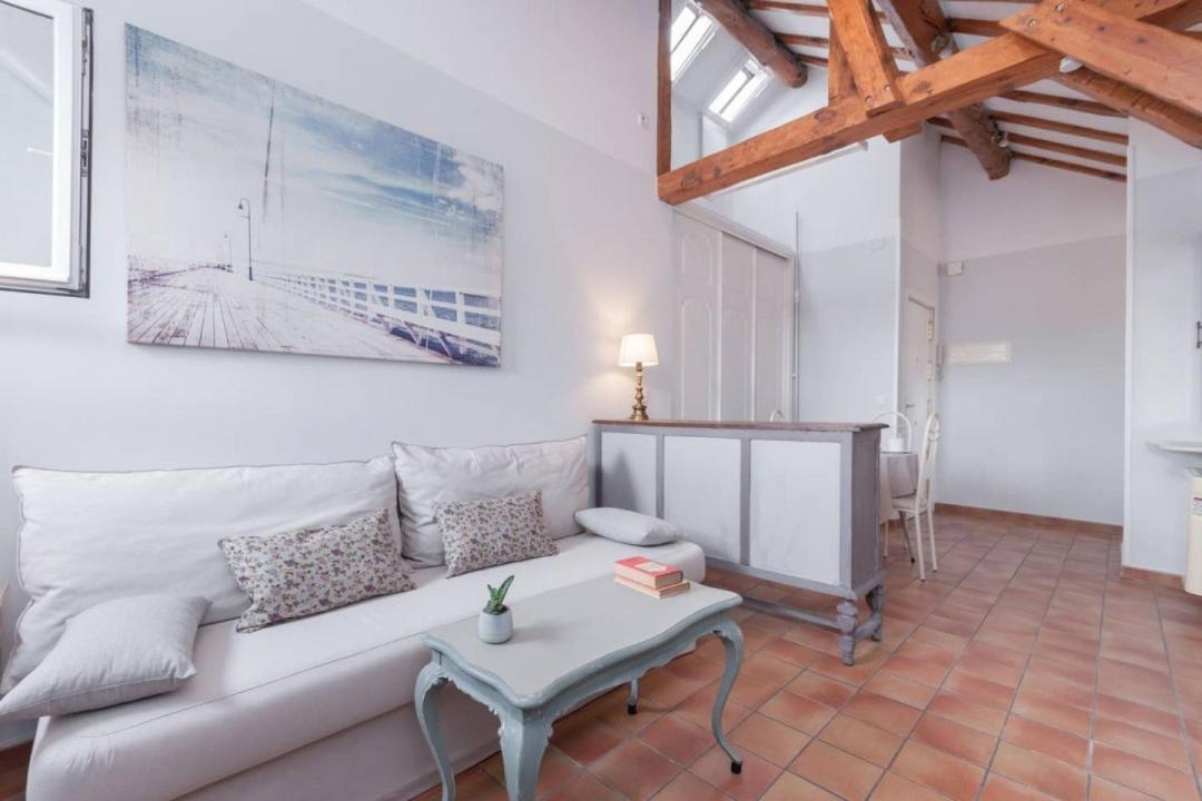 Cozy One-bedroom Penthhouse La Latina Appartement Madrid