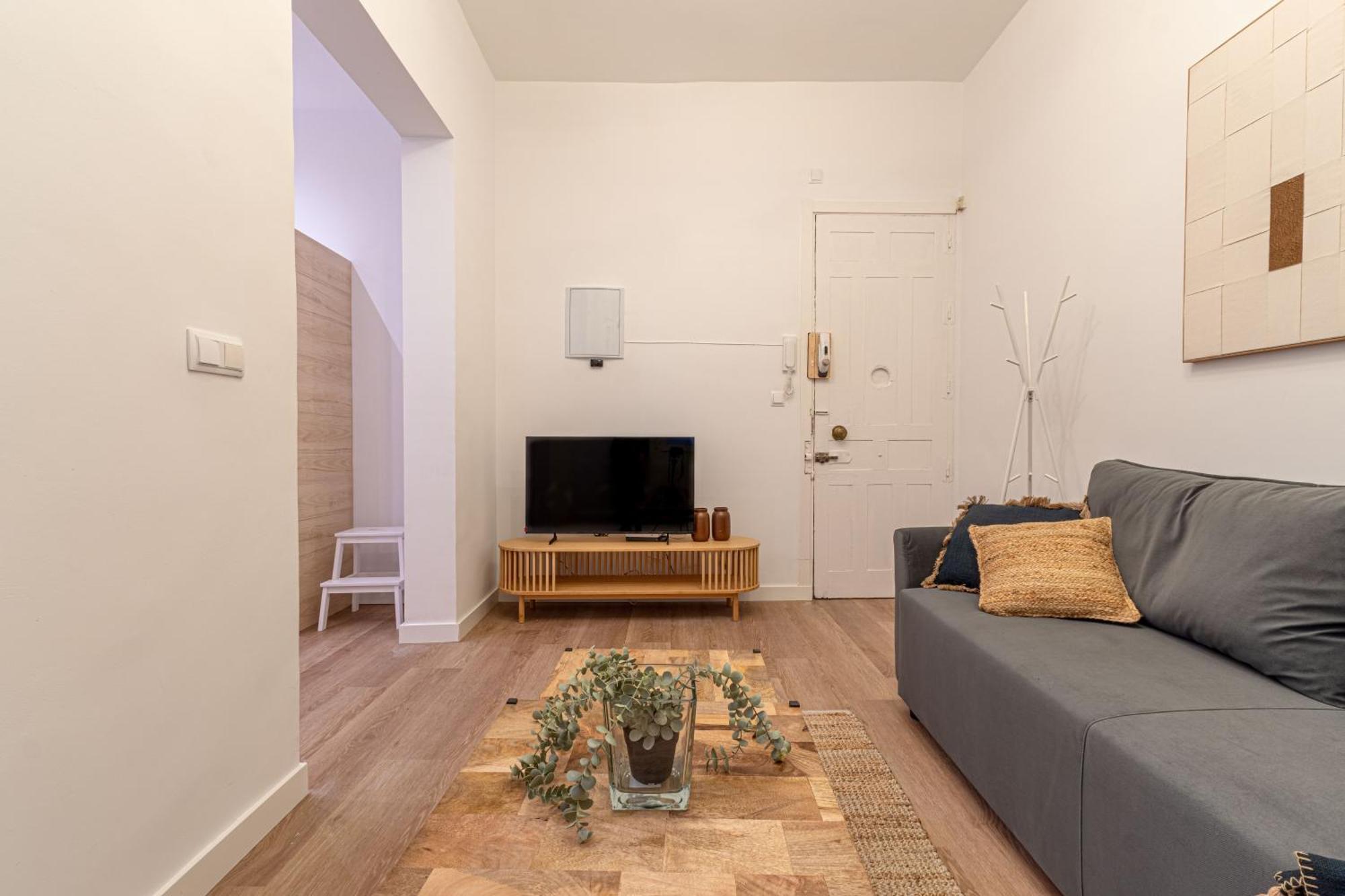 El Castizo Centro Apartment Madrid