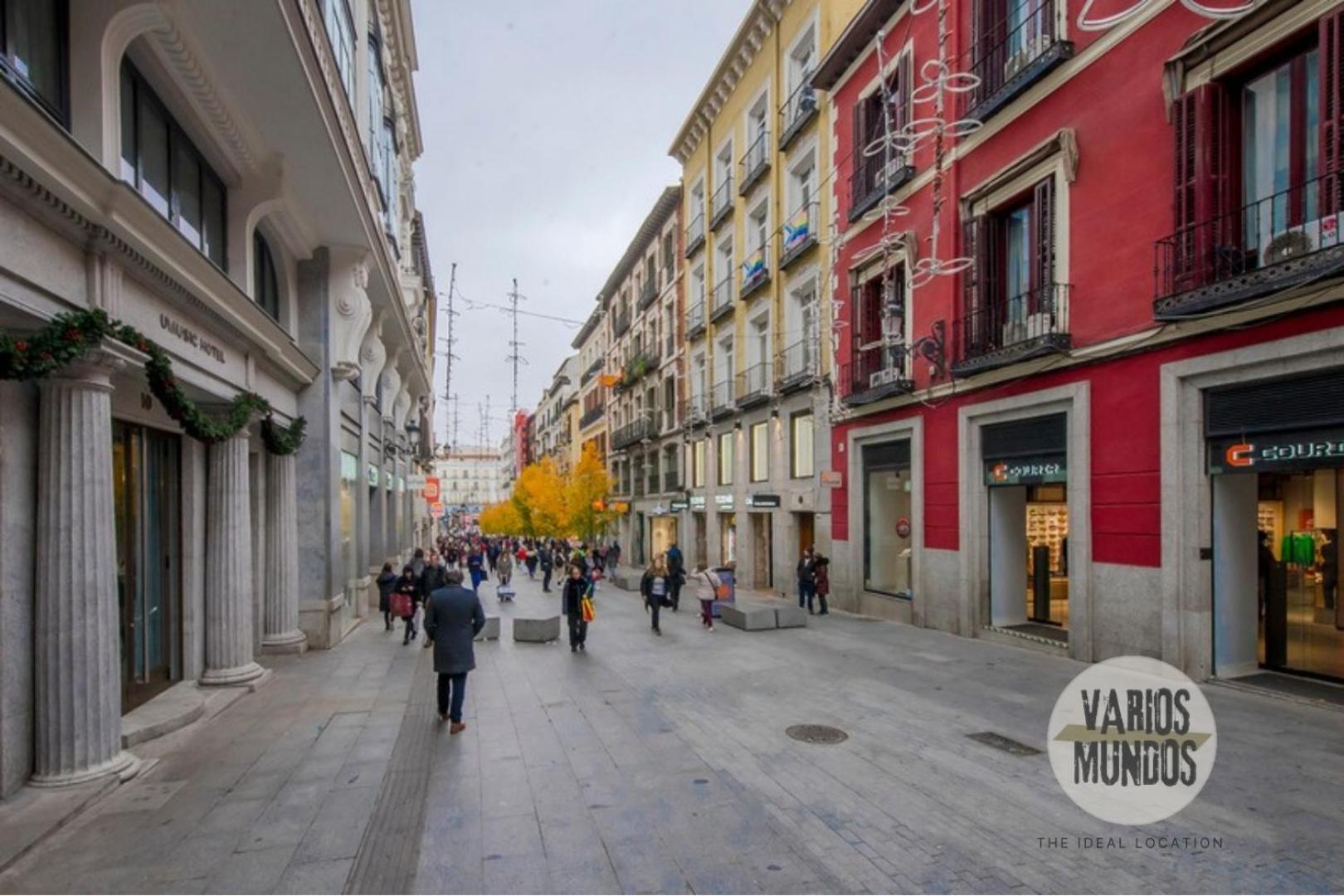 Apartment Fashion Design Loft En Calle Carretas-sol 4pax