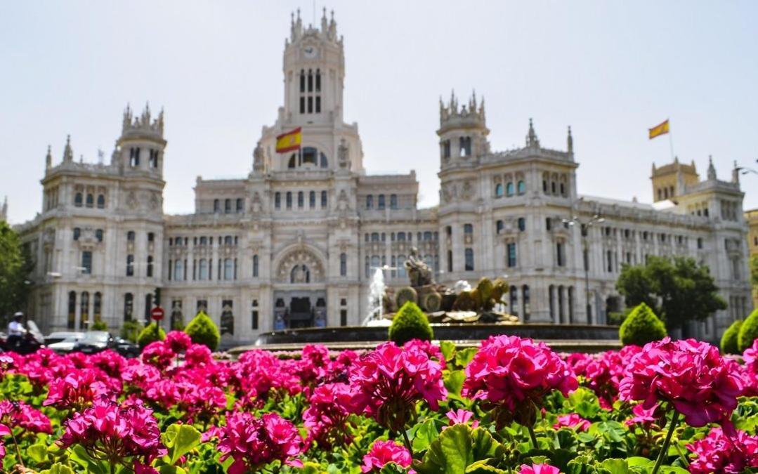 Apartamento Sleeping Gran Via *