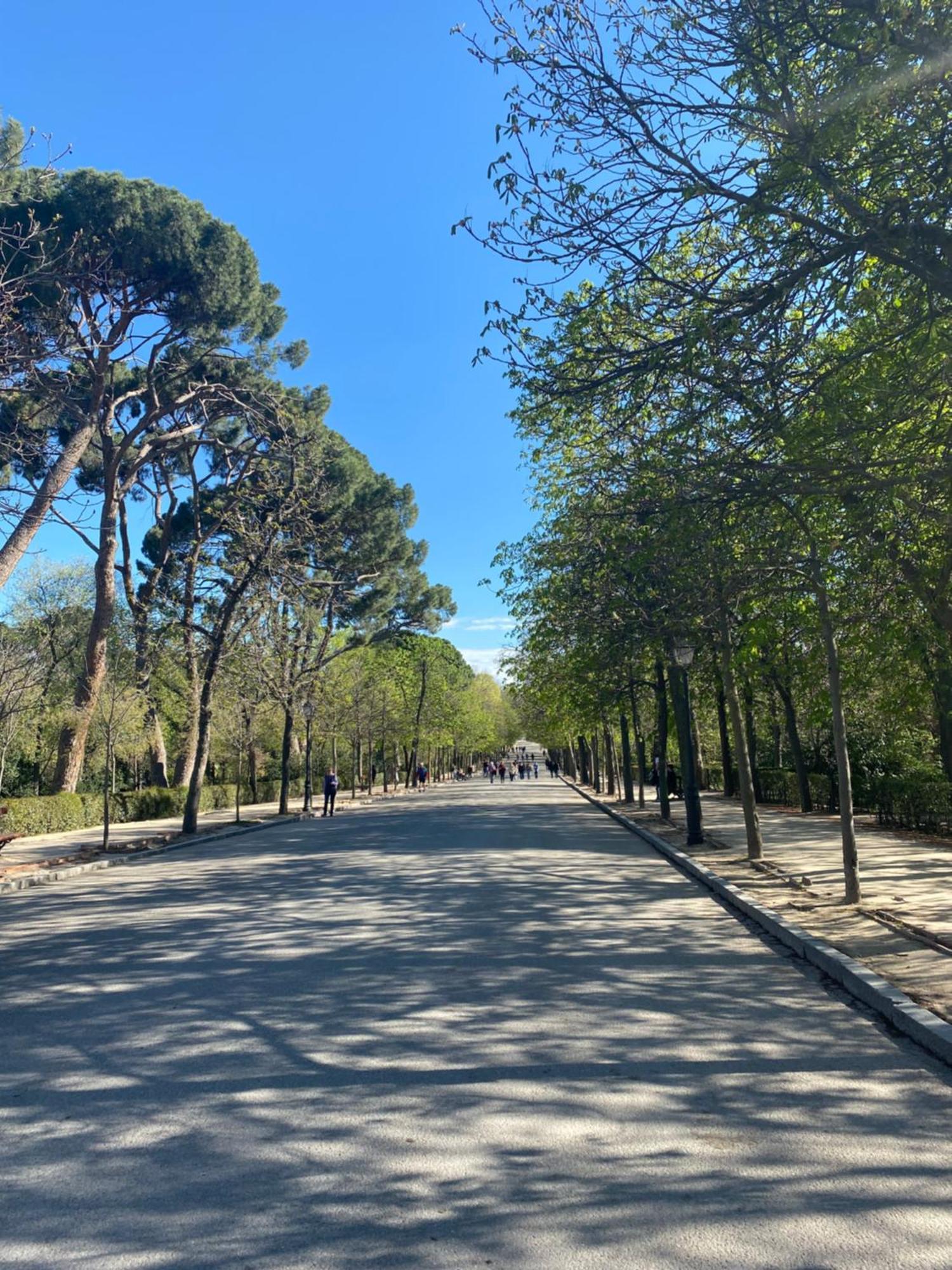 Bed & Breakfast Private Retiro Madrid