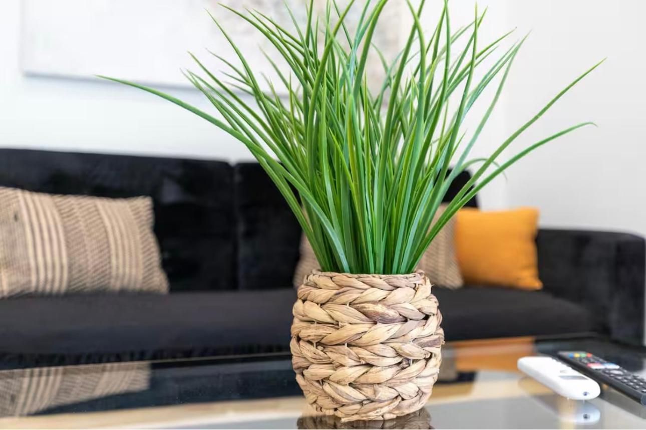Artbel En Ventas-elfo Apartamento *