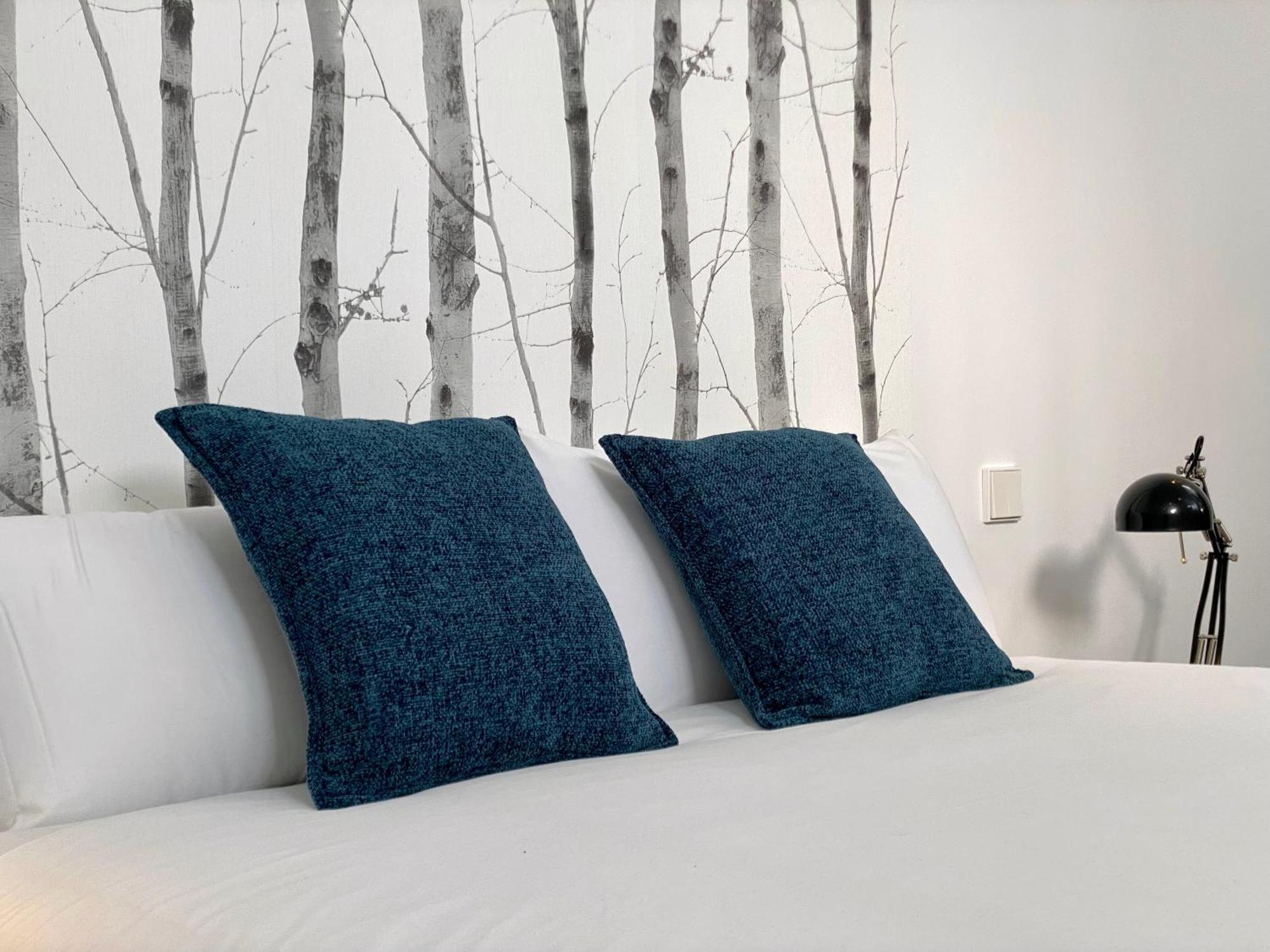Apartamento Charming Urban La Latina Madri
