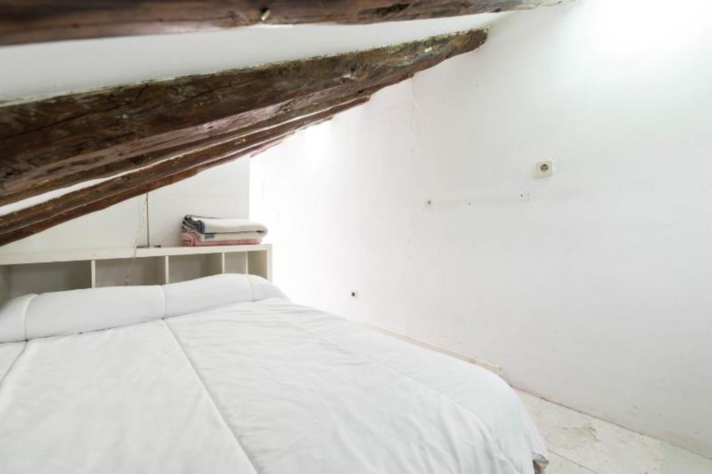 Atico Duplex Loft Lavapies *