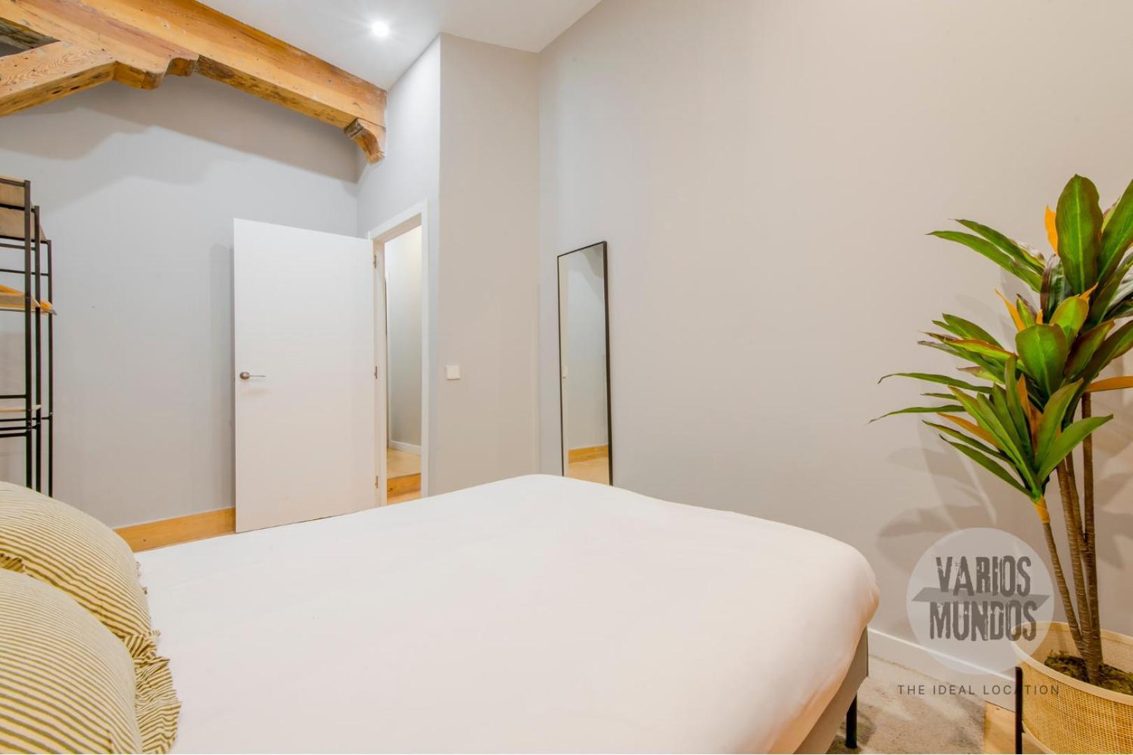 Apartamento Confort Madrileno 8 En Tirso De Molina E2 *