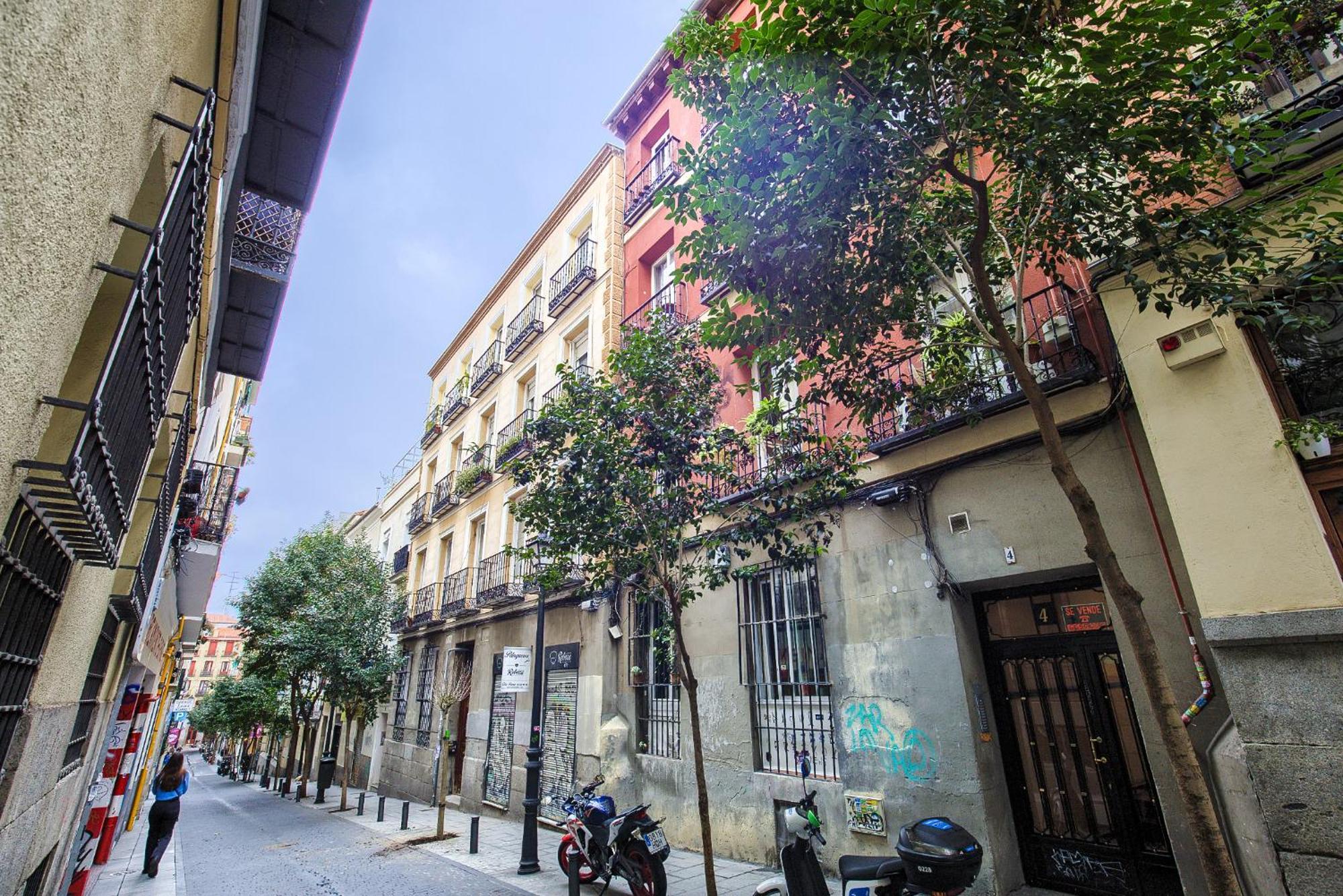 Intimo Estudio En Madrid, Centro, 2pax, Wifi & Tv Apartamento *