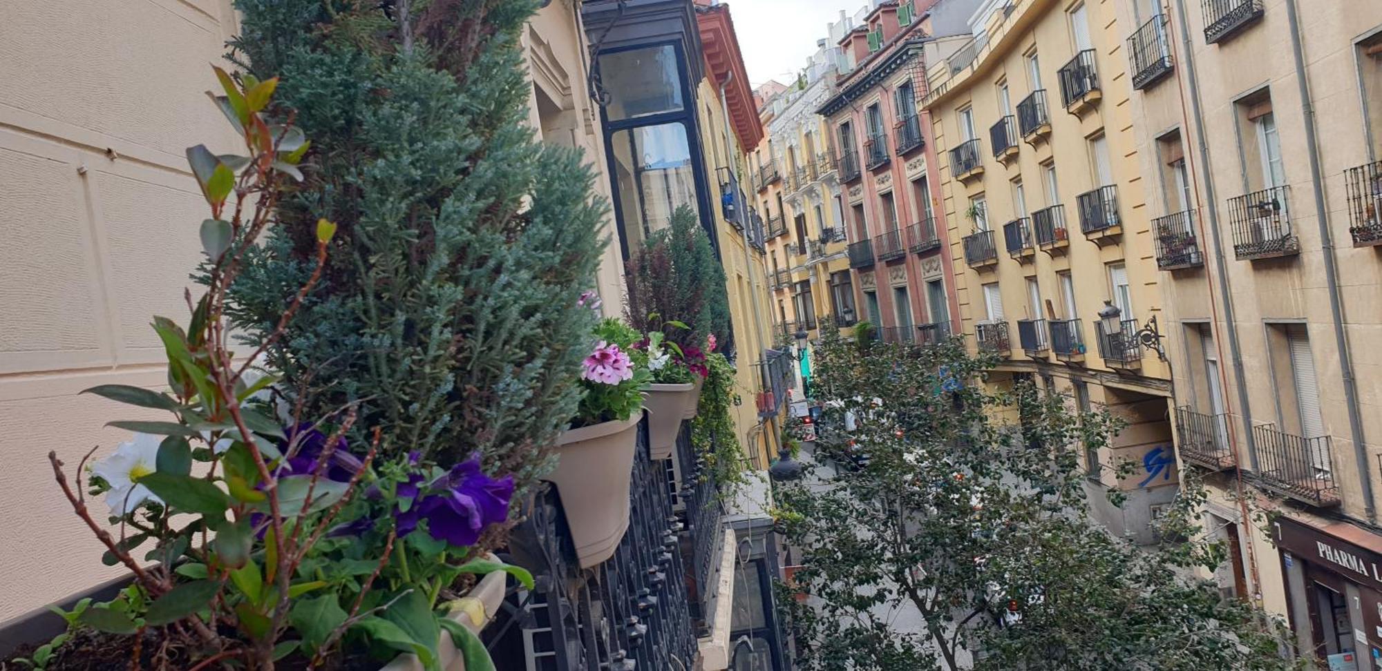Las Fuentes (adults Only) Guest house