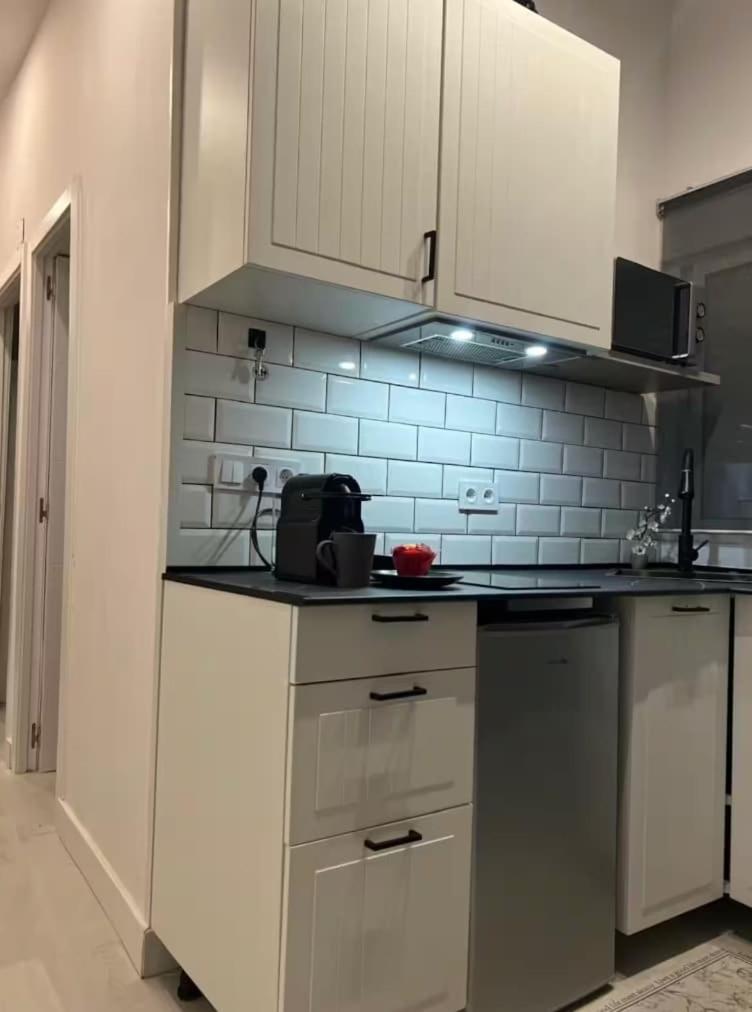Appartamento In La Latina Madrid