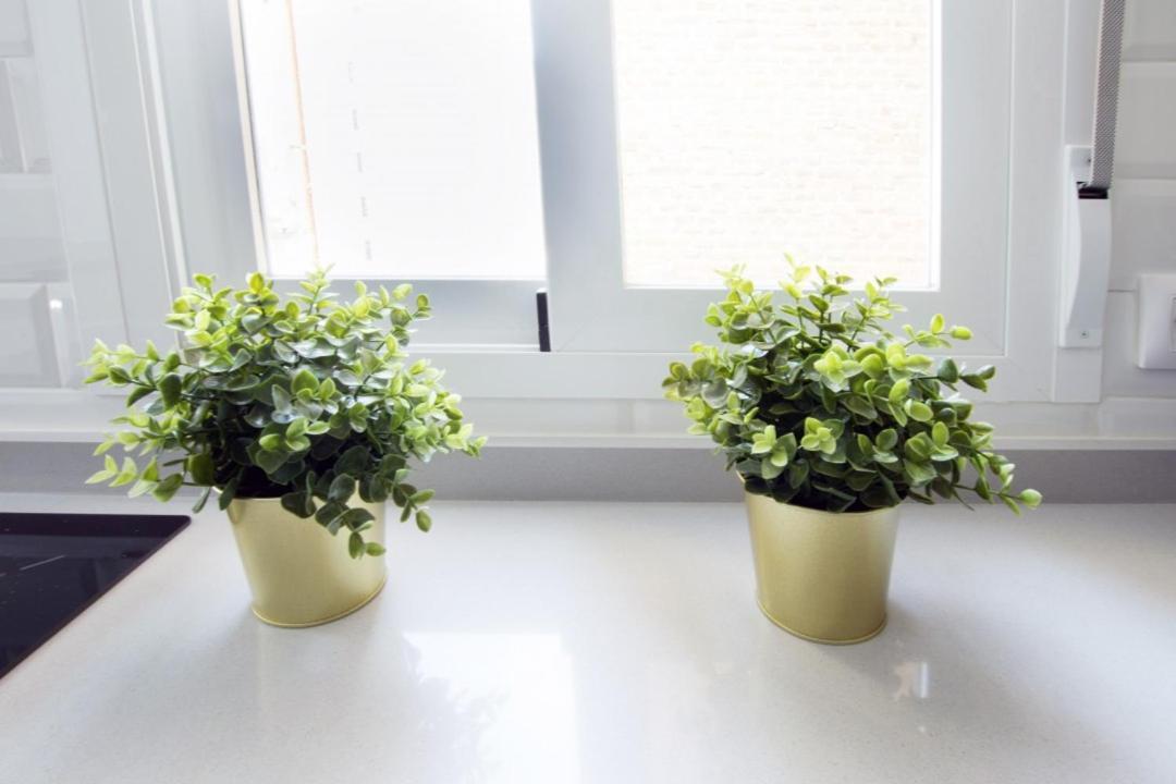 Apartment Minty - Ortega Y Gasset