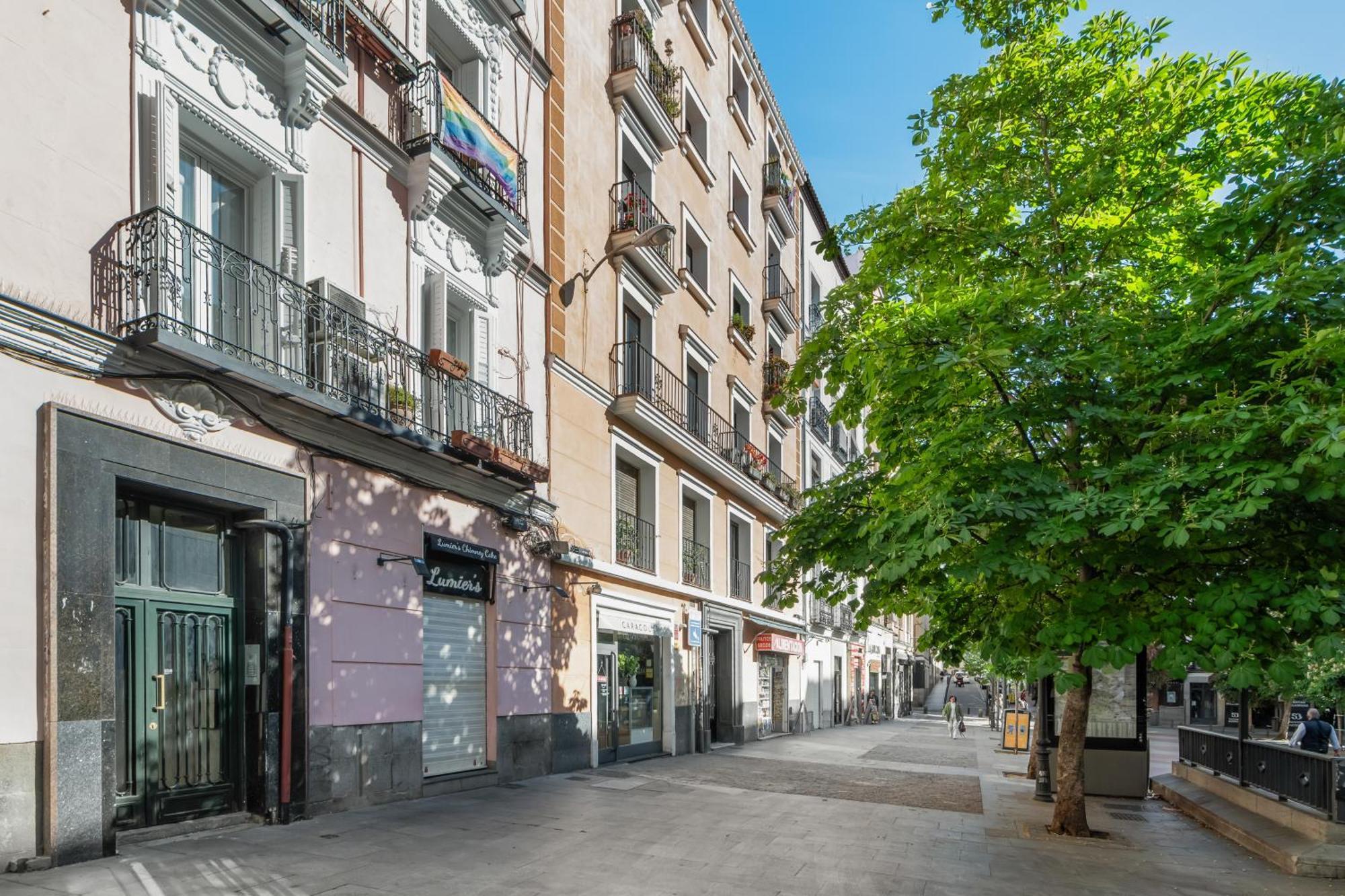 Plaza Chueca Appartement *