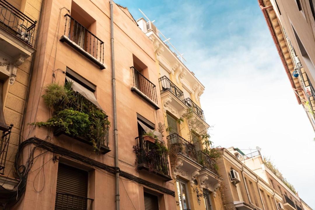 Minty - Andres Borrego Apartamento